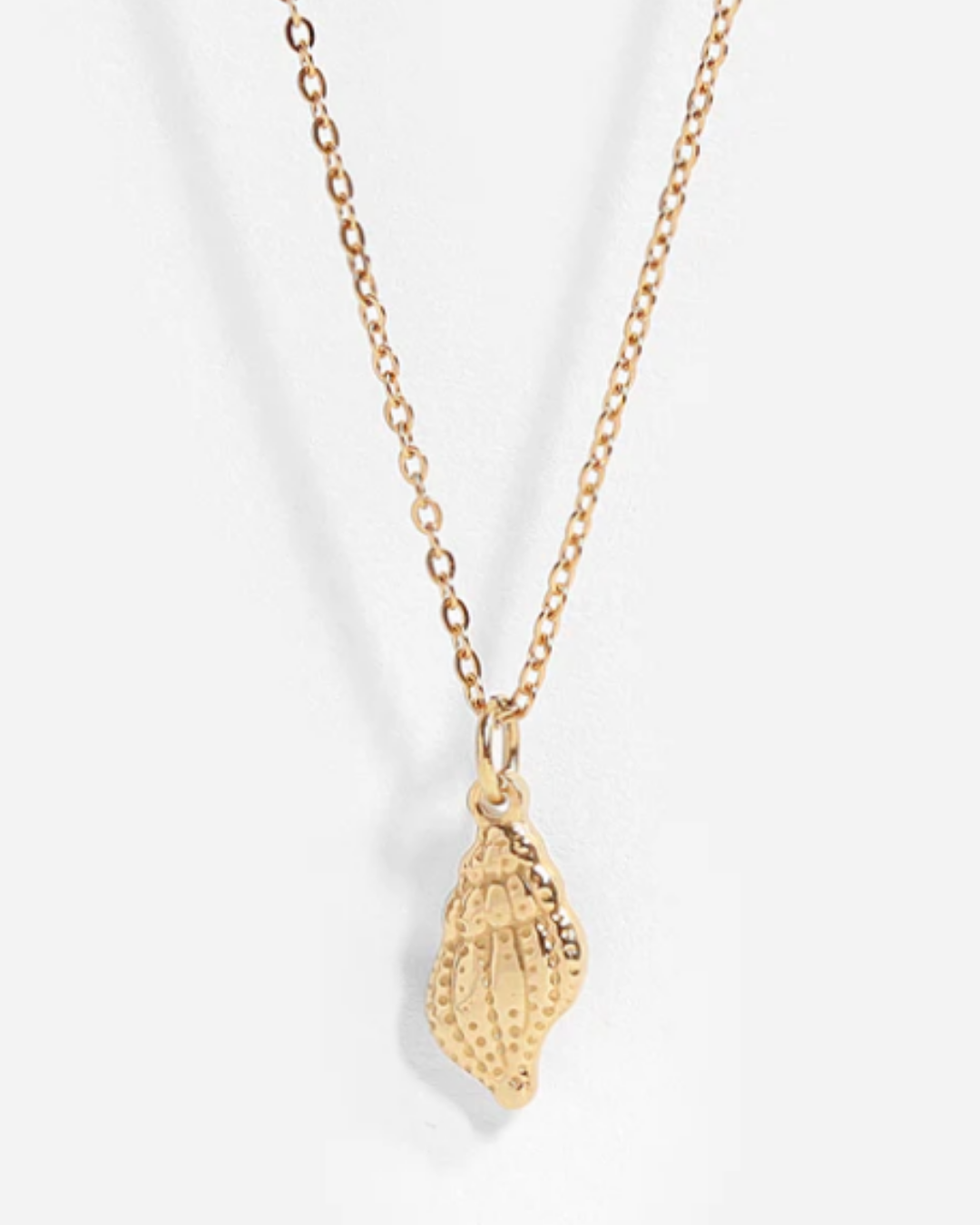 Cone Shell 18K Gold PVD Stainless Steel Charm/Pendant - Waterproof