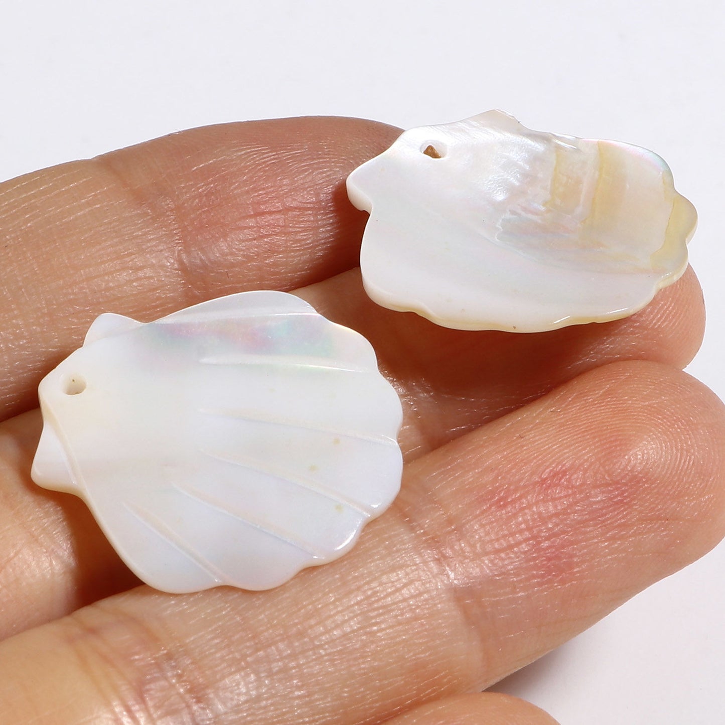 Natural Shell