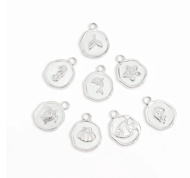 Stainless Steel Turtle Coin Charm