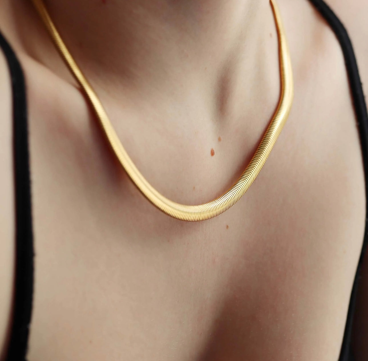 The Snake Chain - 18K Gold PVD Coated Necklace