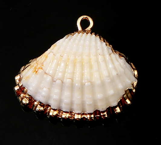 Large Natural Shell Charm