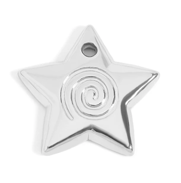 Stainless Steel Star Charm