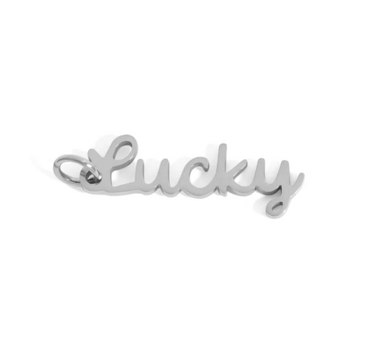 Stainless Steel Lucky Charm