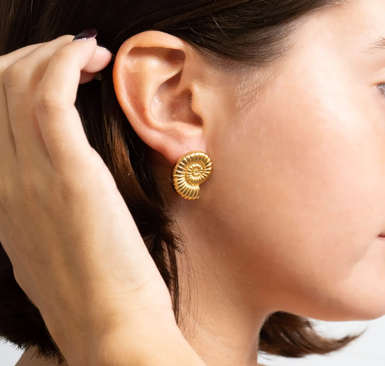 Spiral Shell PVD Earrings