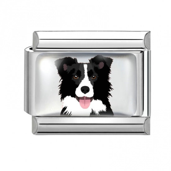 Border Collie Stainless Steel Italian Charm